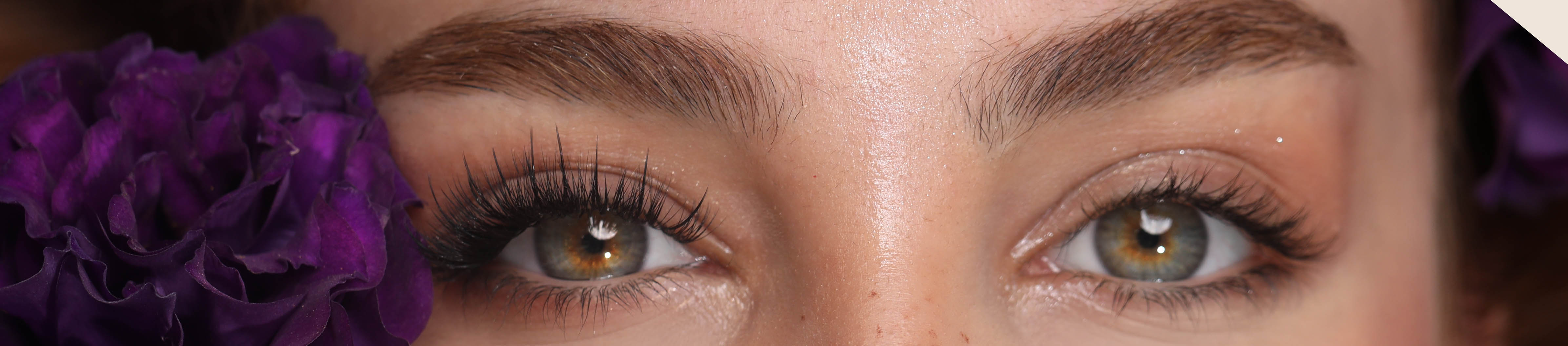 دوره های آموزشی